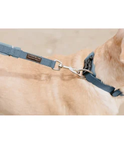 Discount Laisse pour chien Jade Laisses Pour Chien