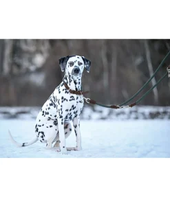 Hot Laisse pour chien Rope Laisses Pour Chien