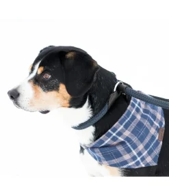 Outlet Laisse retriever Nature Rope Laisses Pour Chien