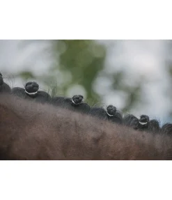 Élastiques larges pour crins Matériel De Pansage