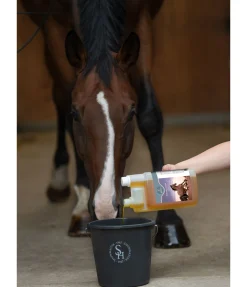 Hot Électrolyte liquide Aliments Complémentaires