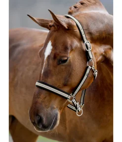 Online Licol Basic Licols Pour Poneys & Poulains|Licols Synthétiques