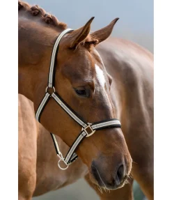 Online Licol Basic Licols Pour Poneys & Poulains|Licols Synthétiques