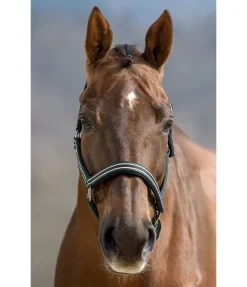 Sale Licol Basic Licols Pour Poneys & Poulains|Licols Synthétiques