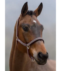 Online Licol Basic Licols Pour Poneys & Poulains|Licols Synthétiques