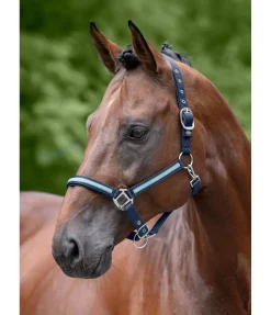 Clearance Licol Blaire Licols Synthétiques