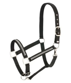 Sale Licol Blaire Licols Synthétiques