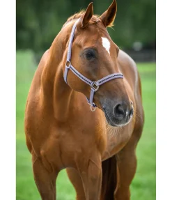 New Licol Brilliant Licols Synthétiques|Licols Pour Poneys & Poulains