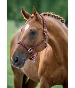 New Licol Brilliant Licols Synthétiques|Licols Pour Poneys & Poulains