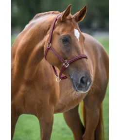 New Licol Brilliant Licols Synthétiques|Licols Pour Poneys & Poulains