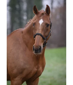 Sale Licol Brilliant Licols Synthétiques|Licols Pour Poneys & Poulains