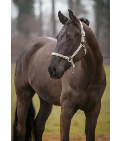 Hot Licol Brilliant Licols Synthétiques|Licols Pour Poneys & Poulains