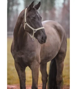 Hot Licol Brilliant Licols Synthétiques|Licols Pour Poneys & Poulains