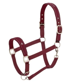 New Licol Cloud Licols Synthétiques