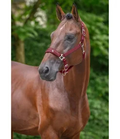 New Licol Cloud Licols Synthétiques