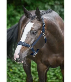 Outlet Licol Cloud Licols Synthétiques