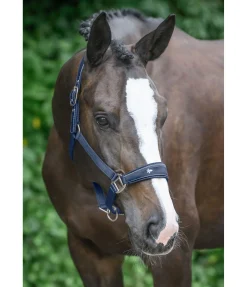 Outlet Licol Cloud Licols Synthétiques