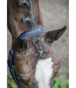 Outlet Licol Cloud Licols Synthétiques