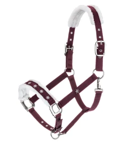 Licol Collection de Noël Licols Synthétiques