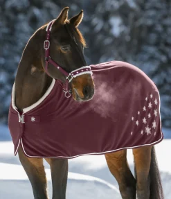 Licol Collection de Noël Licols Synthétiques