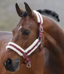 Hot Licol Cosy Licols Pour Poneys & Poulains|Licols Synthétiques