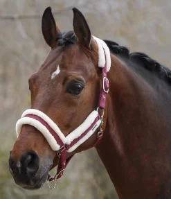 Hot Licol Cosy Licols Pour Poneys & Poulains|Licols Synthétiques