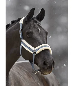 Hot Licol Cosy Licols Pour Poneys & Poulains|Licols Synthétiques