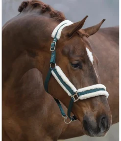 Online Licol Cosy Licols Pour Poneys & Poulains|Licols Synthétiques