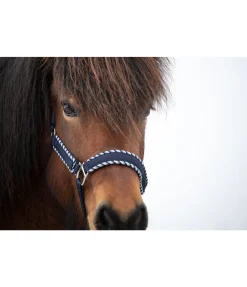 Best Licol Dagur Licols Synthétiques