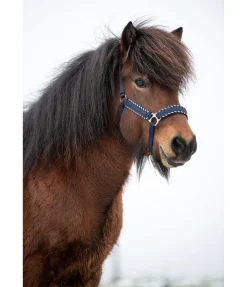 Best Licol Dagur Licols Synthétiques