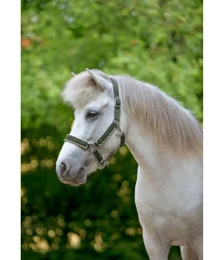 Licol Dagur Licols Synthétiques