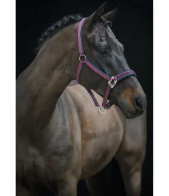 Hot Licol Essential II Licols Synthétiques