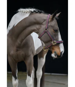 Hot Licol Essential II Licols Synthétiques