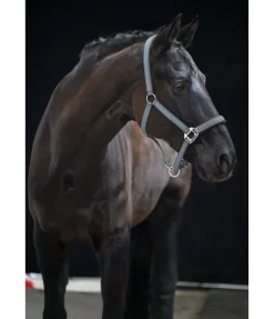 Outlet Licol Essential II Licols Synthétiques