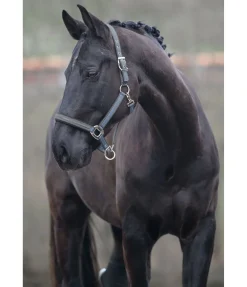 Outlet Licol Essential II Licols Synthétiques