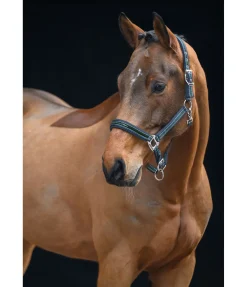 Discount Licol Essential II Licols Synthétiques