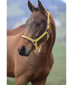 Sale Licol Essential II Licols Synthétiques