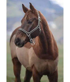 Hot Licol Essential II Licols Synthétiques