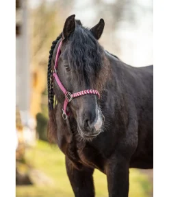 Hot Licol Filo Licols Synthétiques