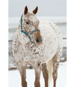 Sale Licol Filo Licols Synthétiques