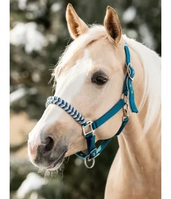 New Licol Filo Licols Synthétiques