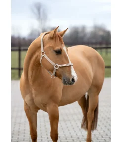 Discount Licol Filo Licols Synthétiques