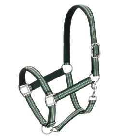 Sale Licol Floki Licols Synthétiques