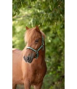 Sale Licol Floki Licols Synthétiques