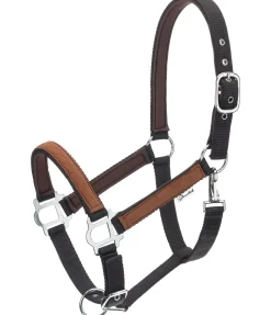 Licol Forster Licols Synthétiques