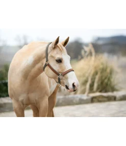 Hot Licol Forster Licols Synthétiques