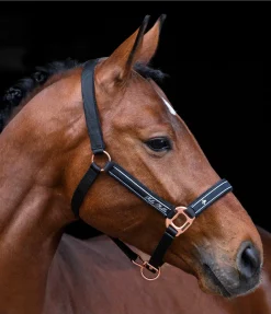 Outlet Licol Glamorous Licols Synthétiques