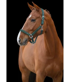 Online Licol Glamorous Licols Synthétiques