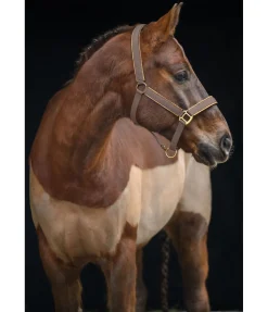 New Licol Glitte Licols Synthétiques