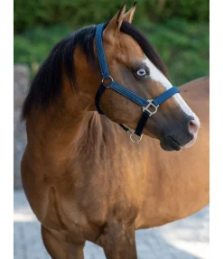 Discount Licol Holly Licols Synthétiques